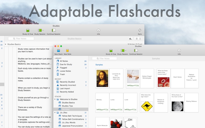 Adaptable Flashcards