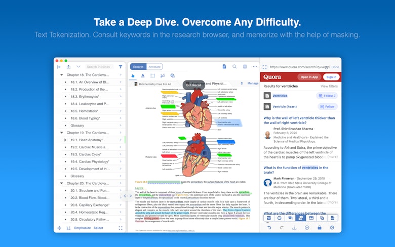 Take a Deep Dive. Overcome Any Difficulty.