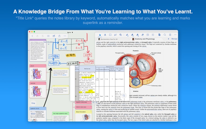 A Knowledge Bridge From What You're Learning to What You've Learnt.